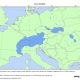 Modrzew europejski